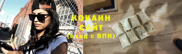 хмурый Магас