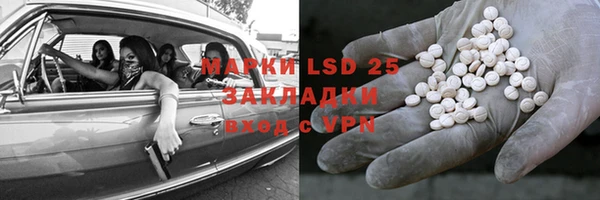хмурый Магас
