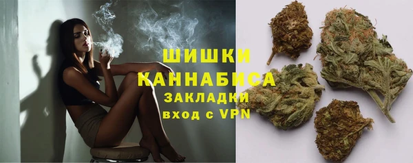 хмурый Магас