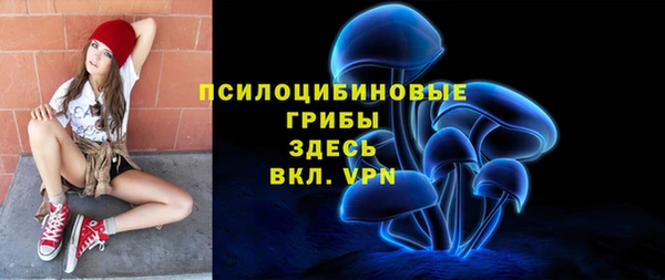хмурый Магас