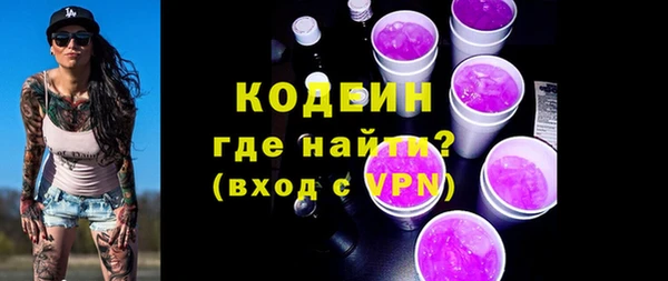 хмурый Магас