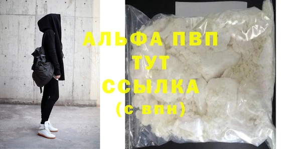 хмурый Магас