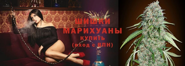 хмурый Магас